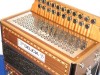 Delicia 21 button 8 bass accordion